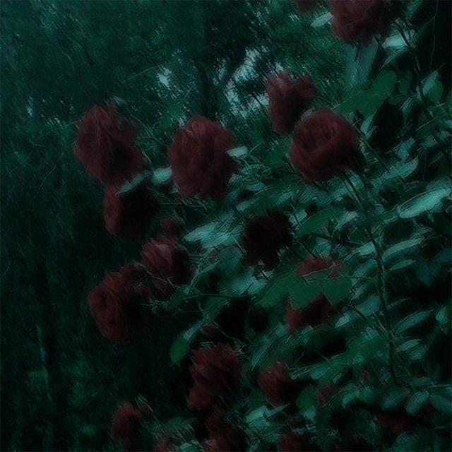 Обкладинка: Забудь мене — syperlight