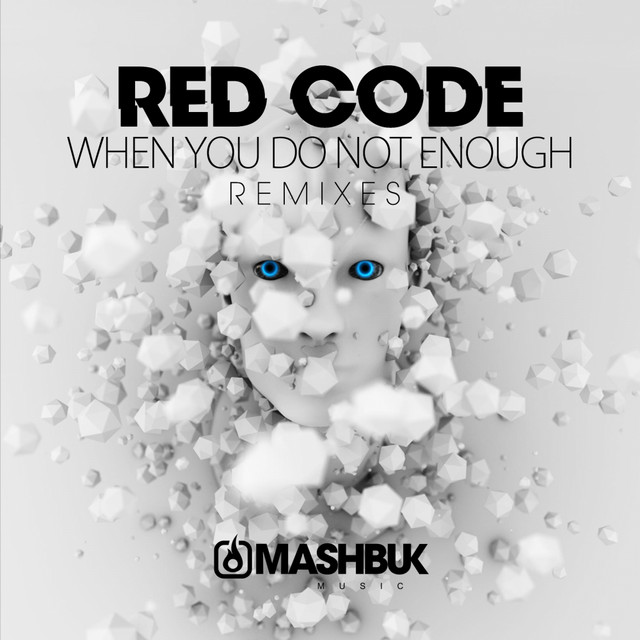 When You Do Not Enough - Original Mix cover art