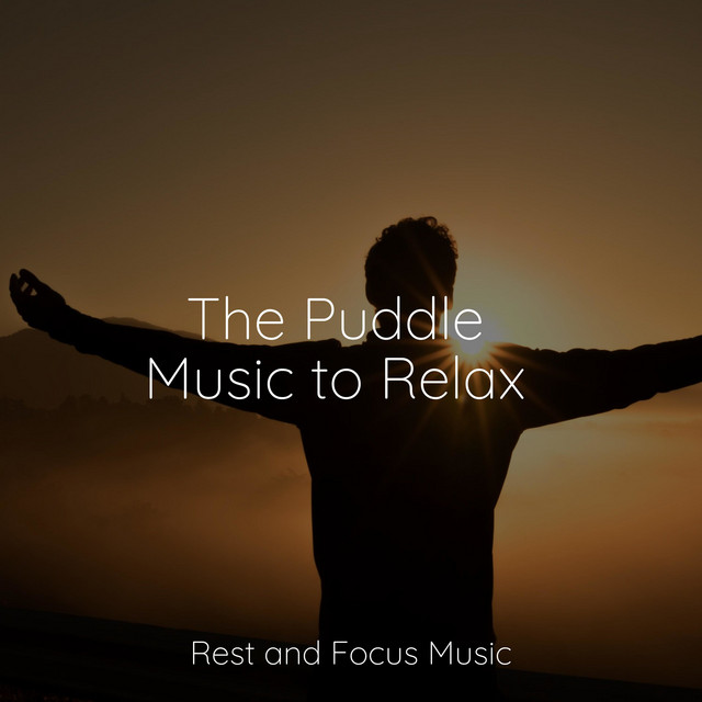 The Puddle Music to Relax