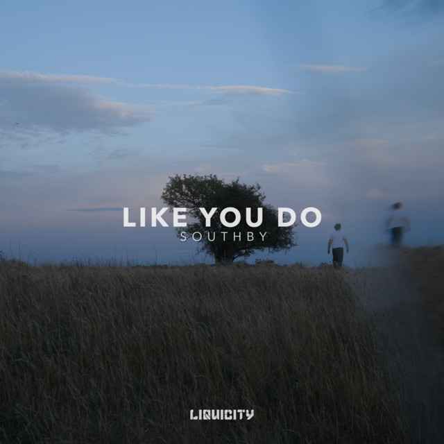 Like You Do album image