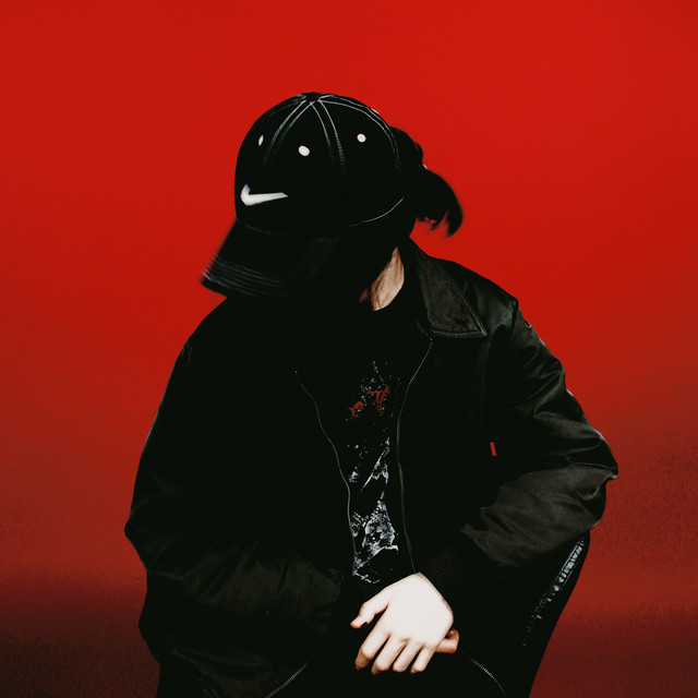 VAMPIRE WEEKND LEAKS cover art