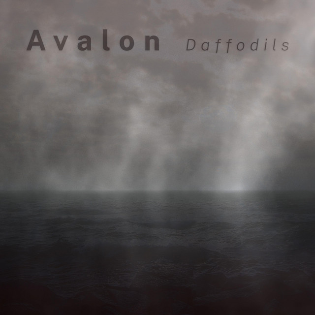 Daffodils cover art
