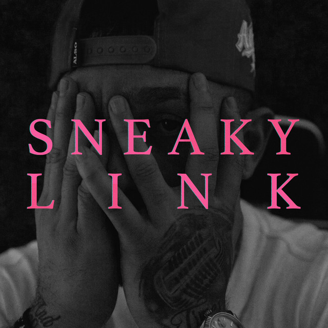 Sneaky Link