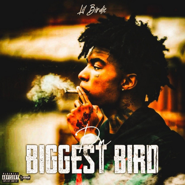 Da Biggest Bird cover art