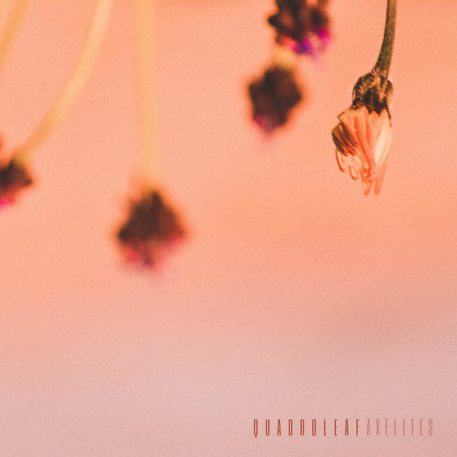 Quadroleaf cover art