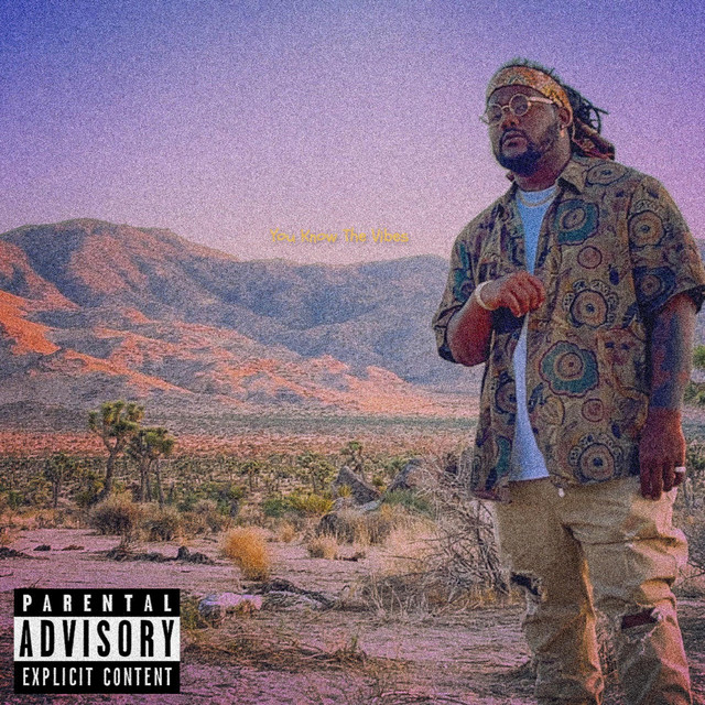 You Know The Vibes cover art