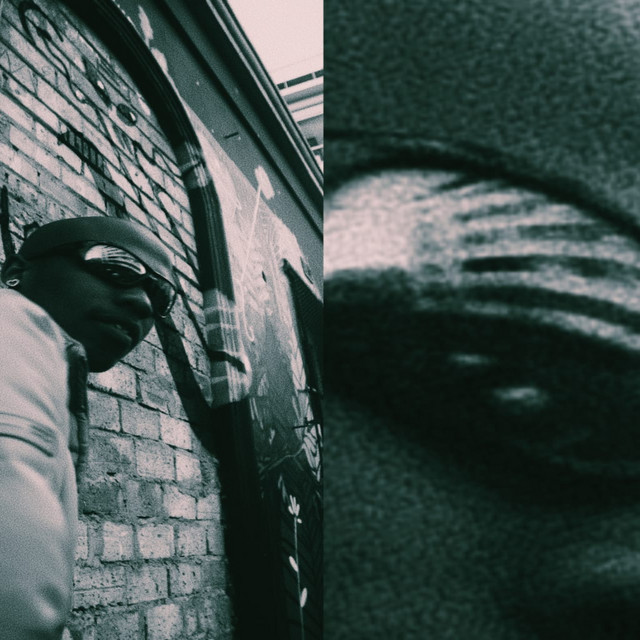 VL cover art
