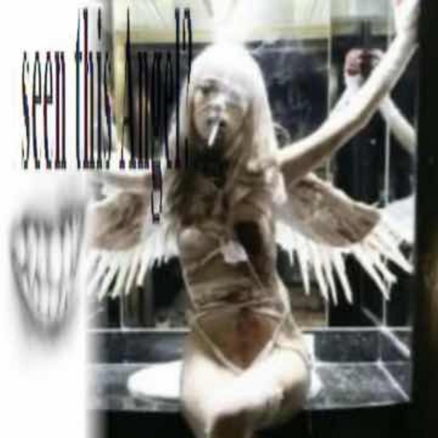 Gauze