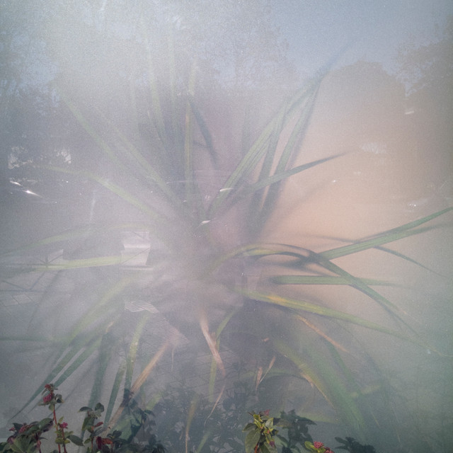 II cover art
