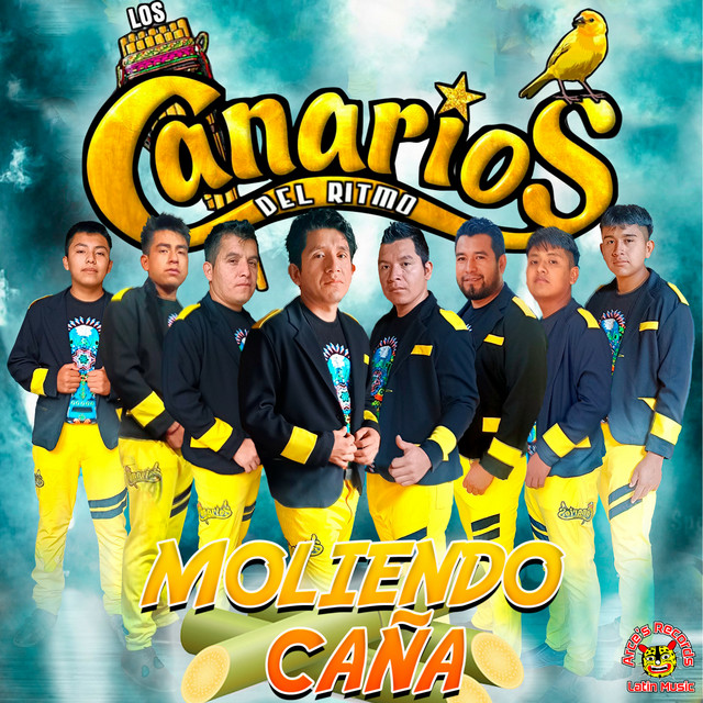 Los Canarios Del Ritmo