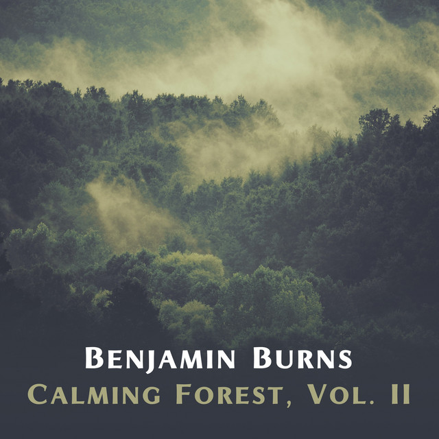Calming Forest, Vol. II cover art