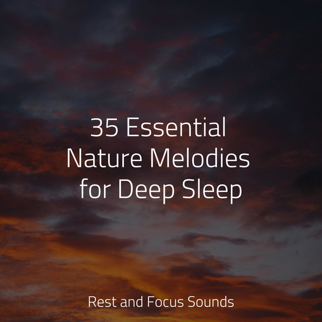 35 Essential Nature Melodies for Deep Sleep - Album by Ruído Branco ...