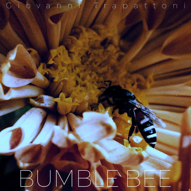 Bumble Bee - Sped Up