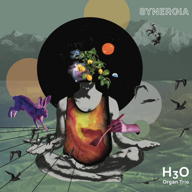 Synergia cover
