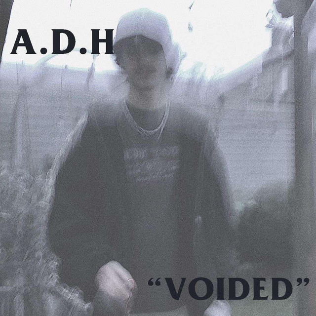 voided - Single by a dead human | Spotify