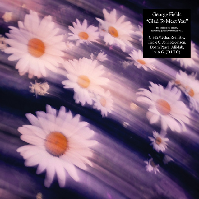 Glad To Meet You cover art
