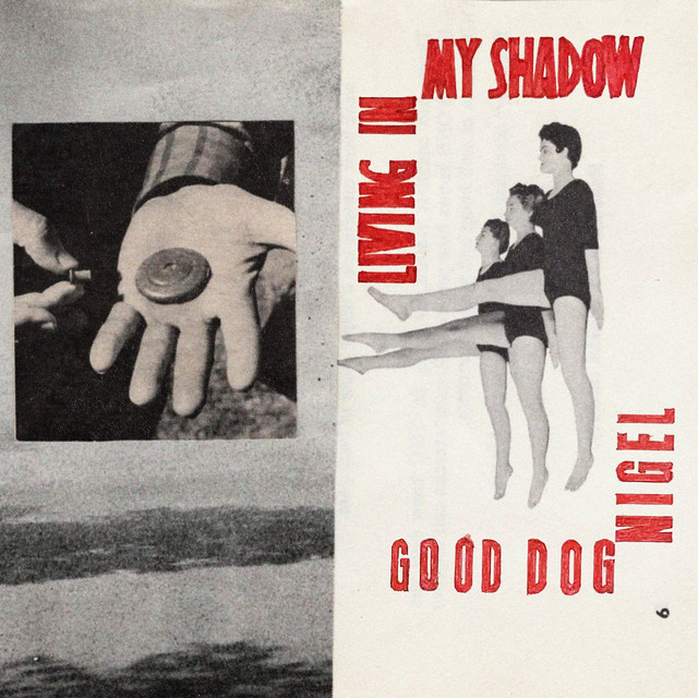 Living in My Shadow cover