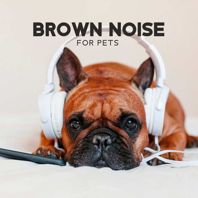 Brown Noise for Pets cover art