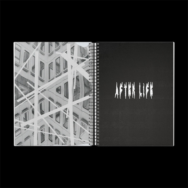 AFTER LIFE cover art