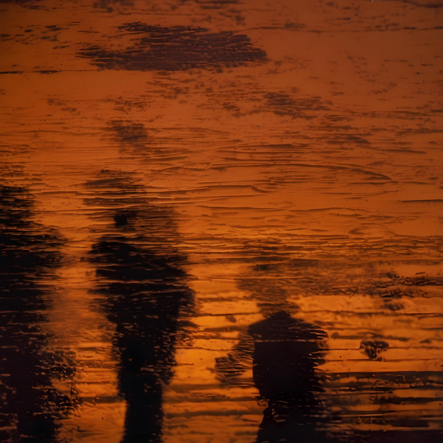 The Shadows of Men cover art