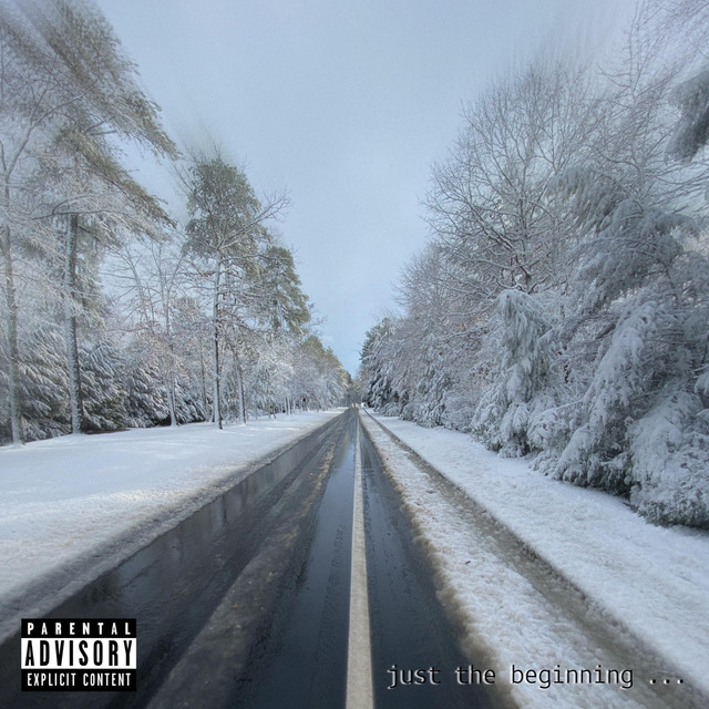just the beginning ... cover art