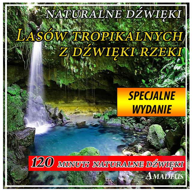 Lasów tropikalnych z dźwięki rzeki: naturalne dźwięki: Specjalne Wydanie cover art