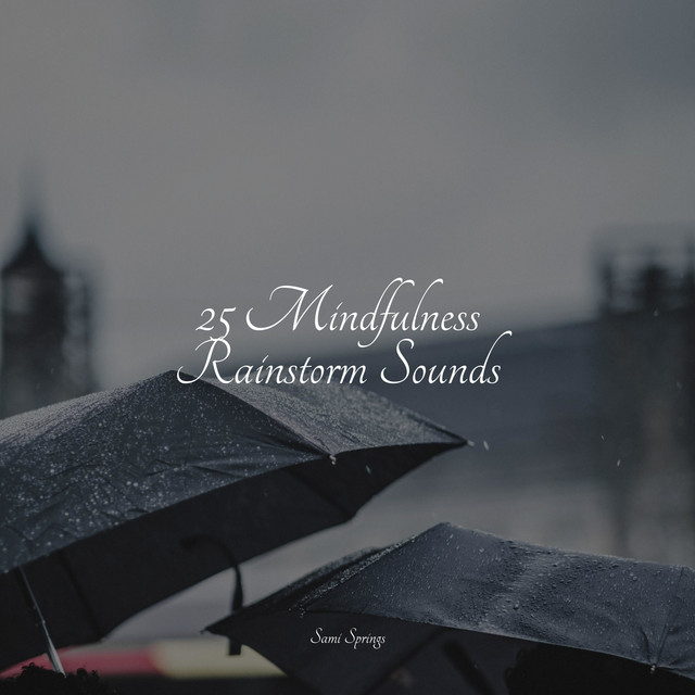 25 Mindfulness Rainstorm Sounds - Album by Sonidos De Lluvia y ...