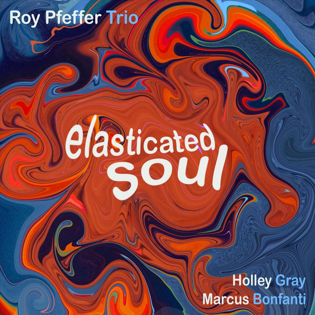 Roy Pfeffer Trio