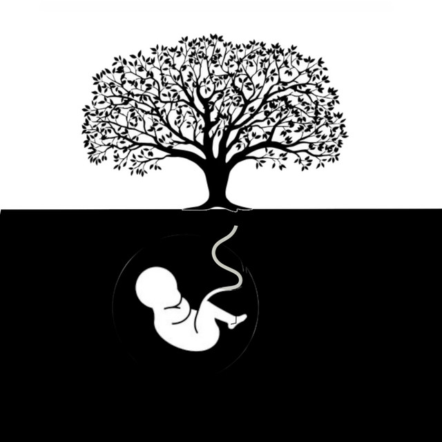 Apfelbaum cover