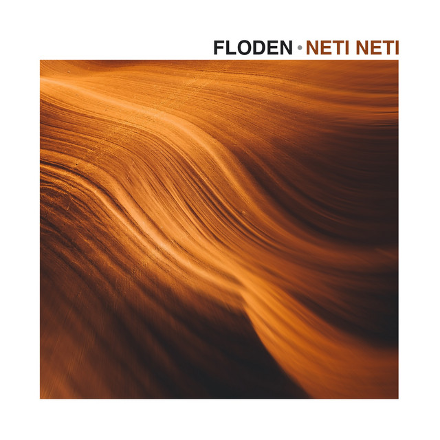 NETI NETI cover art