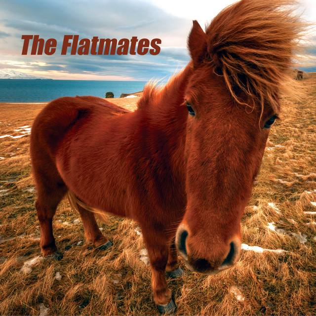 The Flatmates cover art