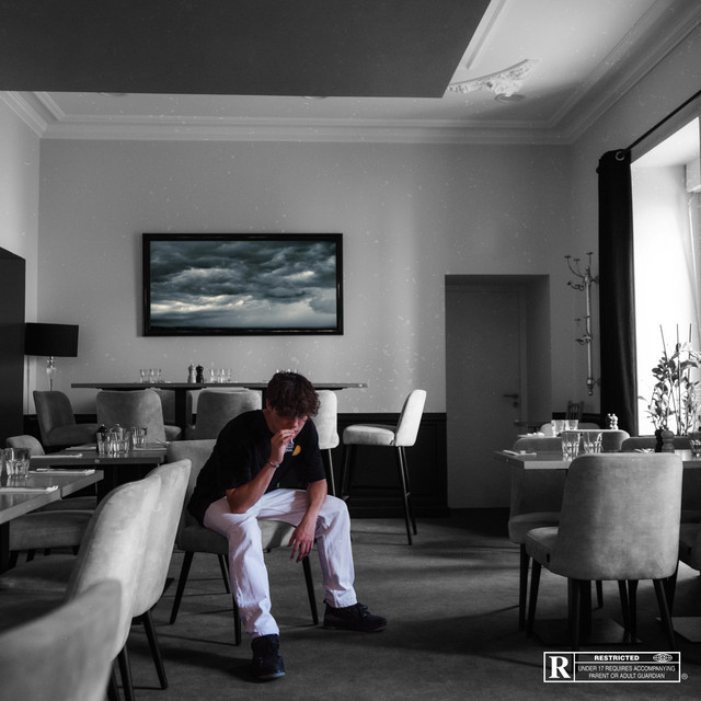 tout en gris cover art