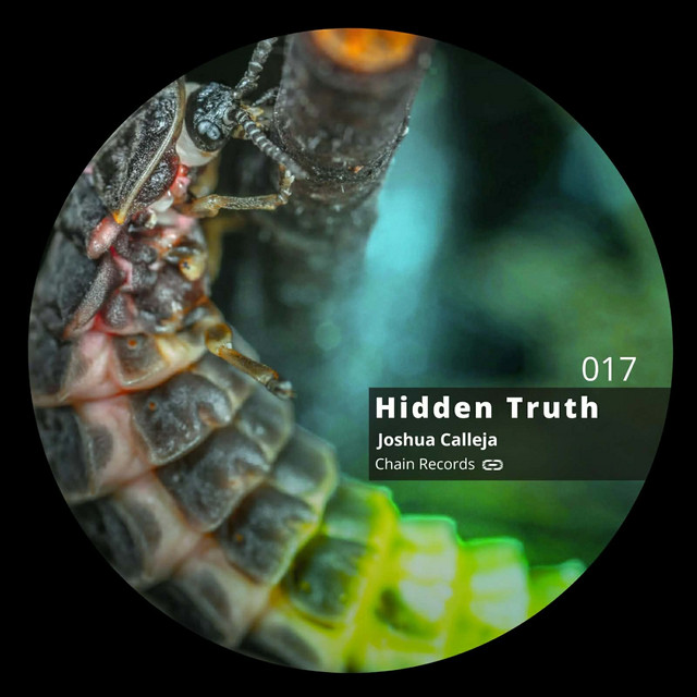 HIDDEN TRUTH EP017 cover art