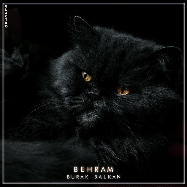 Behram - Single by Burak Balkan | Spotify