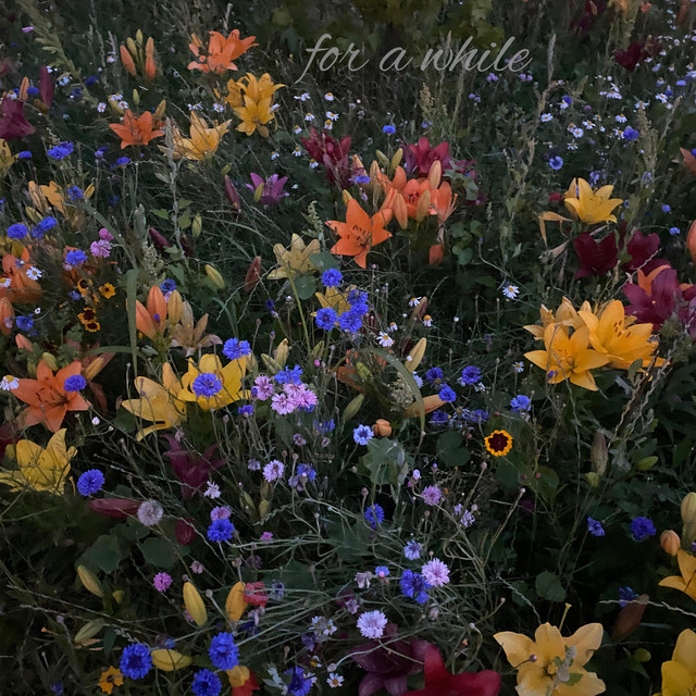 for a while cover art