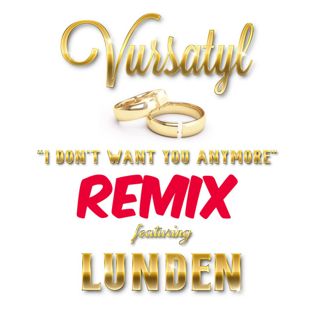 I Don't Want You Anymore - Remix