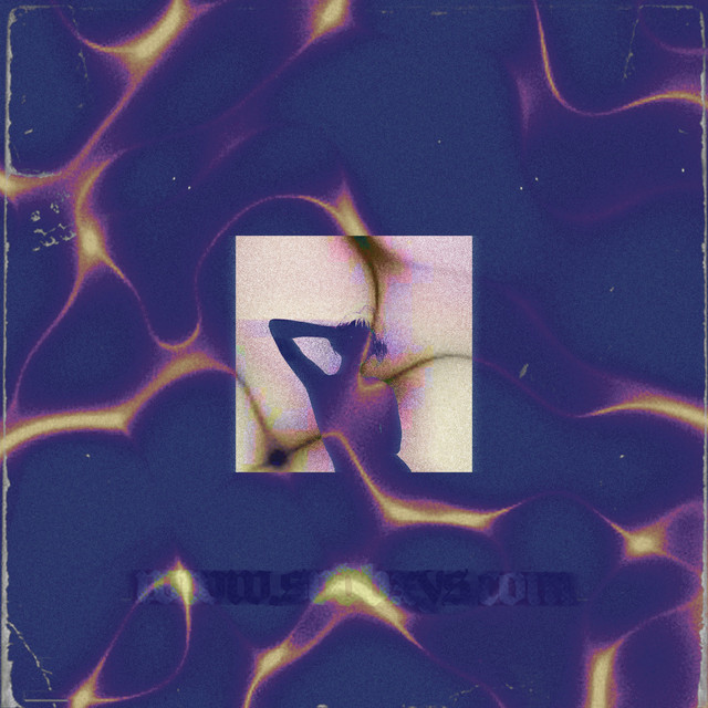 svdbxys cover art