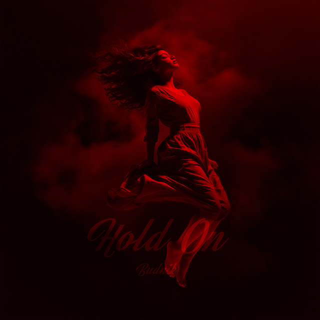 Обкладинка: HOLD ON — BUDNIK