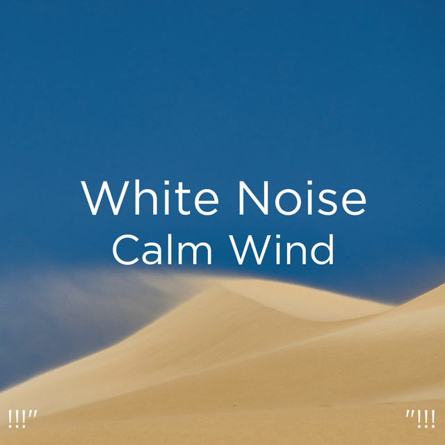 !!!" White Noise Calm Wind "!!! cover art