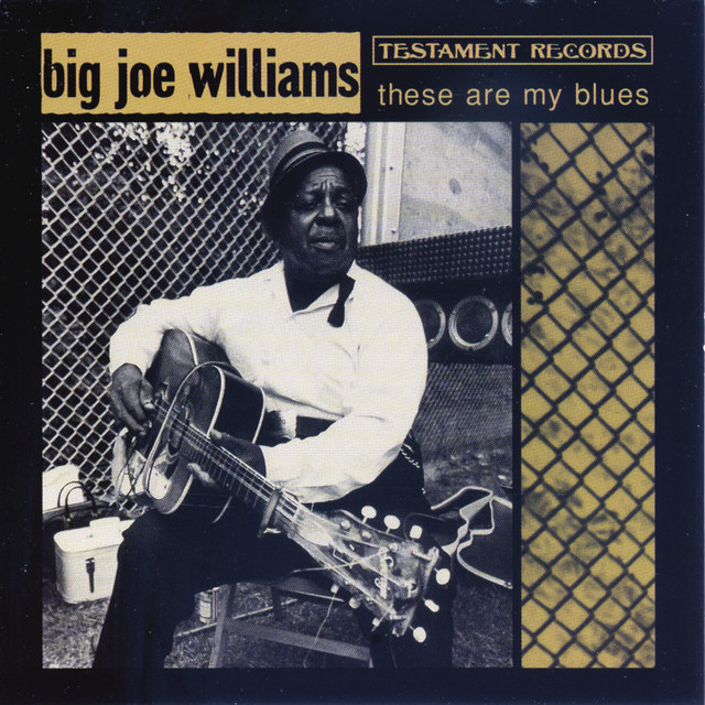 These Are My Blues cover art