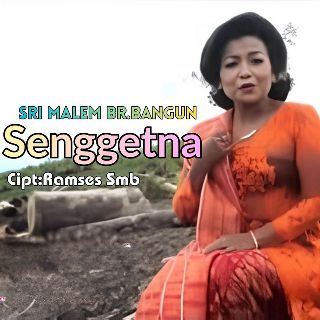 Senggetna album image