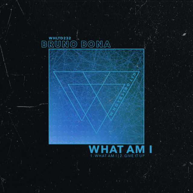 What Am I album art