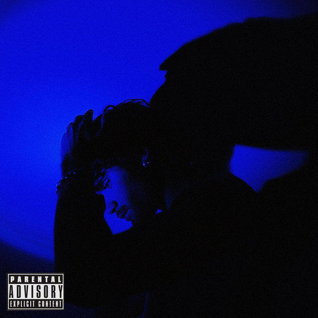 Blue cover art