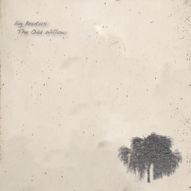 The Odd Willow cover