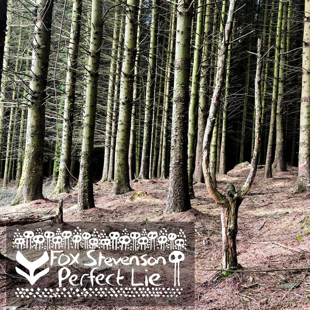Perfect Lie cover art