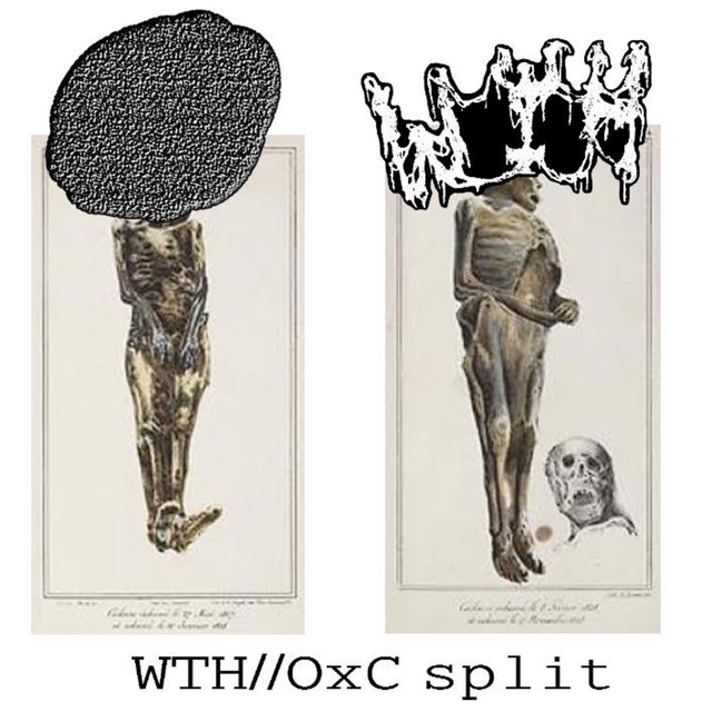OxCx