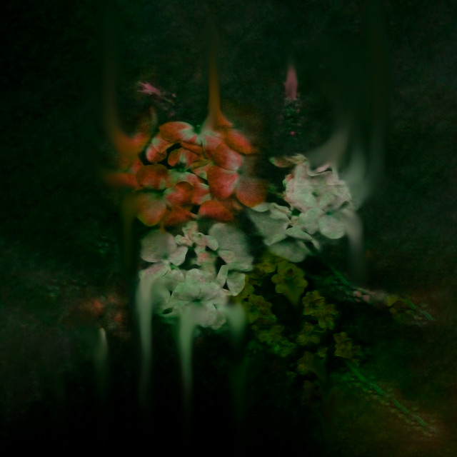 En Enero Hay Días Fríos/Lirio de Lluvia