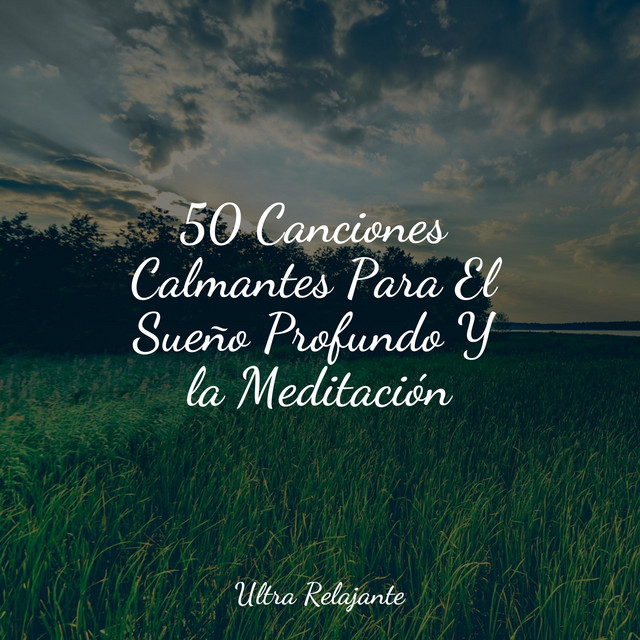 50 Canciones Calmantes Para El Sueño Profundo Y la Meditación cover art