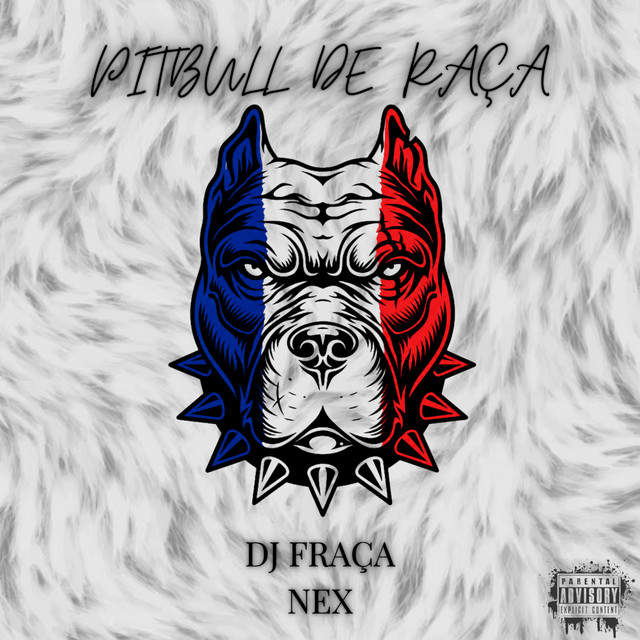 PITBULL DE RAÇA