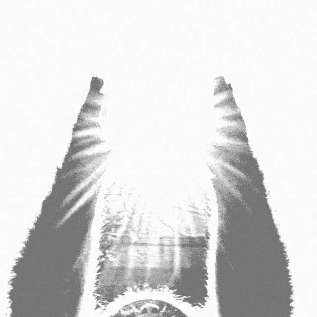COULD THIS BE LIGHT cover art